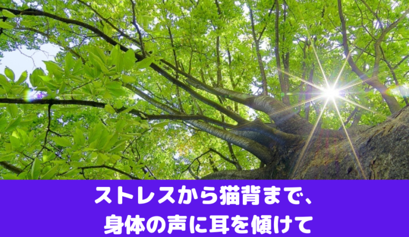 ストレスから猫背まで、身体の声に耳を傾けて